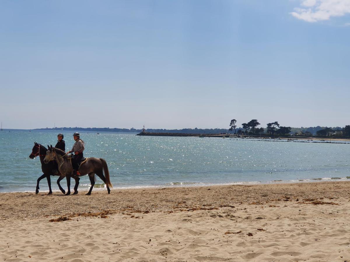Vacances O Loch - Studio A 200 Metres De La Plage - Le Cap Coz Fouesnant Buitenkant foto